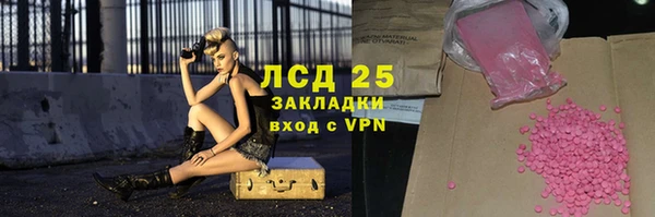 сатива Алзамай