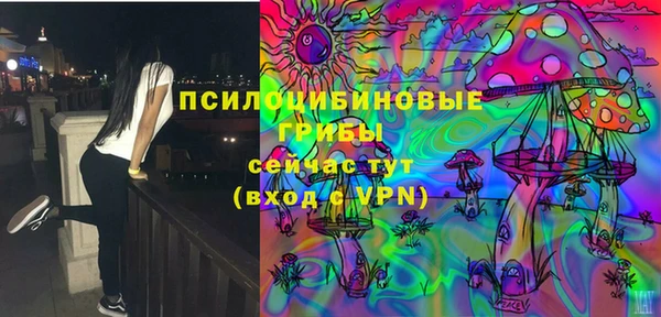 сатива Алзамай