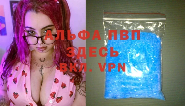 сатива Алзамай