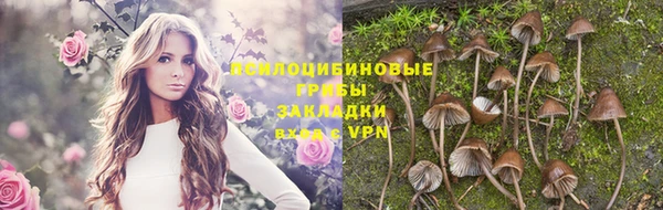 тгк Алексеевка