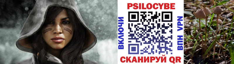 Галлюциногенные грибы Psilocybine cubensis  наркота  Оленегорск 